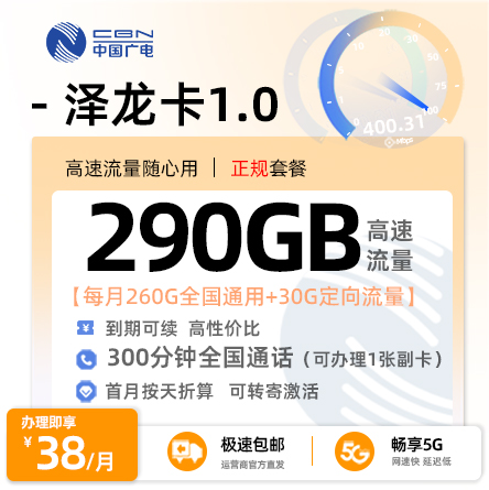 广电泽龙卡38元月享290G全国流量+300分钟通话