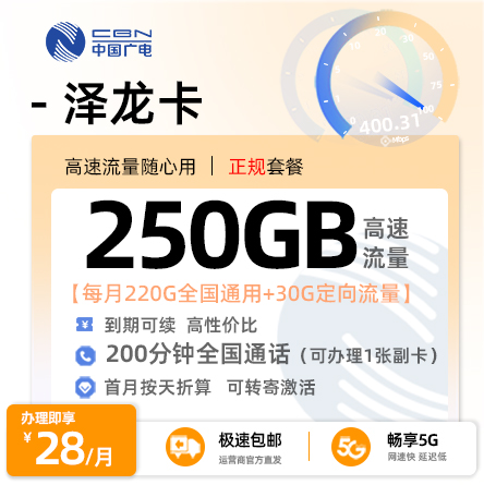 广电泽龙卡28元月享250G全国流量+200分钟通话