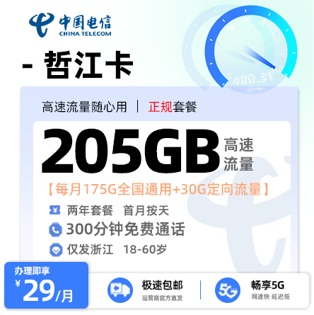 电信哲江卡 29元月享175G通用流量+30G定向流量+300分钟通话【仅发浙江】 